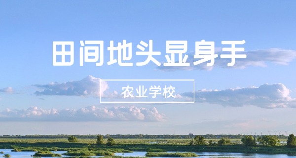 文	山农校校长侬援