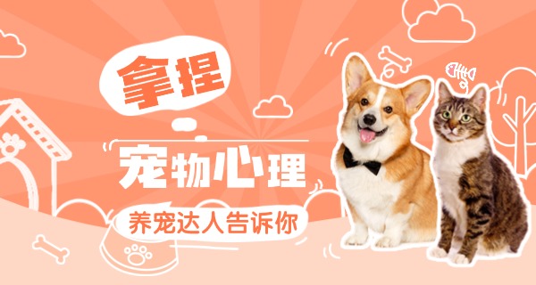 克孜勒苏宠物培训机构收费-克孜勒苏宠物培训收费