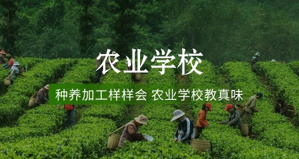 邯	郸农校李志英