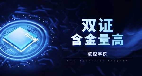 临	夏永靖县哪里可以学数控职高技术