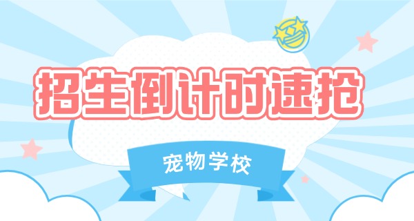 秦皇岛哪里找宠物狗学校-秦皇岛宠物狗学校