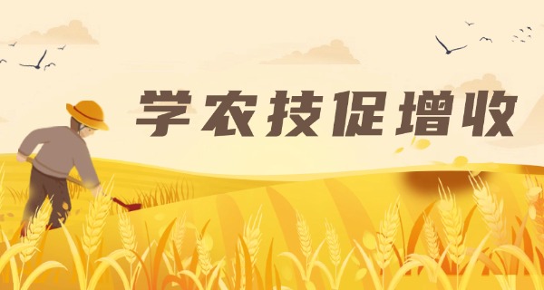 平	凉农校05届