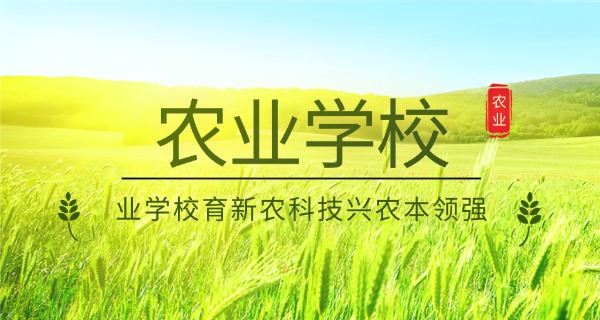曲	靖农校教师名单