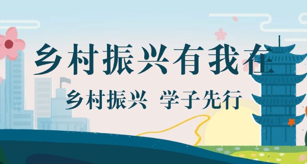 山	农校园网办理