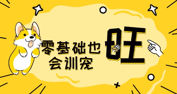 南充训狗的学校在哪里-南充训狗学校在哪里