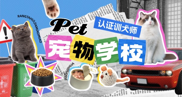赣州宠物寄训学校上哪找-赣州宠物寄训学校哪里找