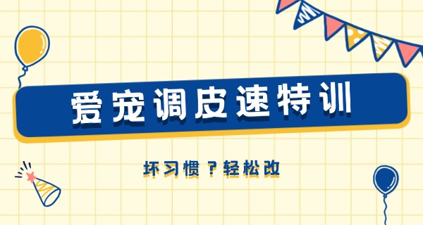 北海有没有宠物狗学校-北海宠物狗学校