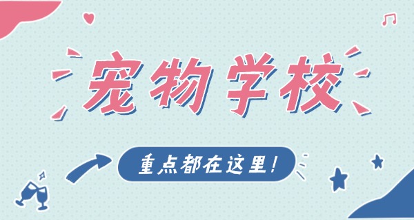 呼和浩特宠物培训机构哪有-呼和浩特宠物培训机构