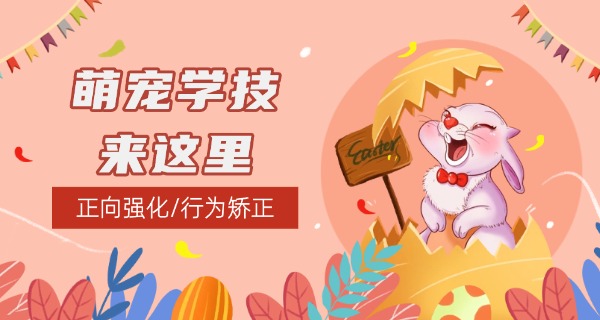 怒江的宠物狗学校哪里有-怒江宠物狗学校哪里有