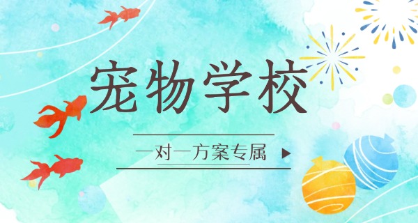 衡水训狗学校价格-衡水训狗学校价格