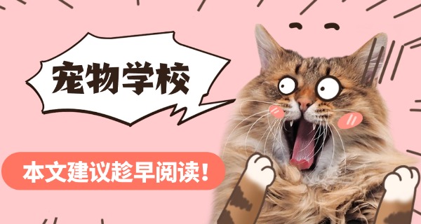 汕头找宠物学校上哪找-汕头宠物学校找